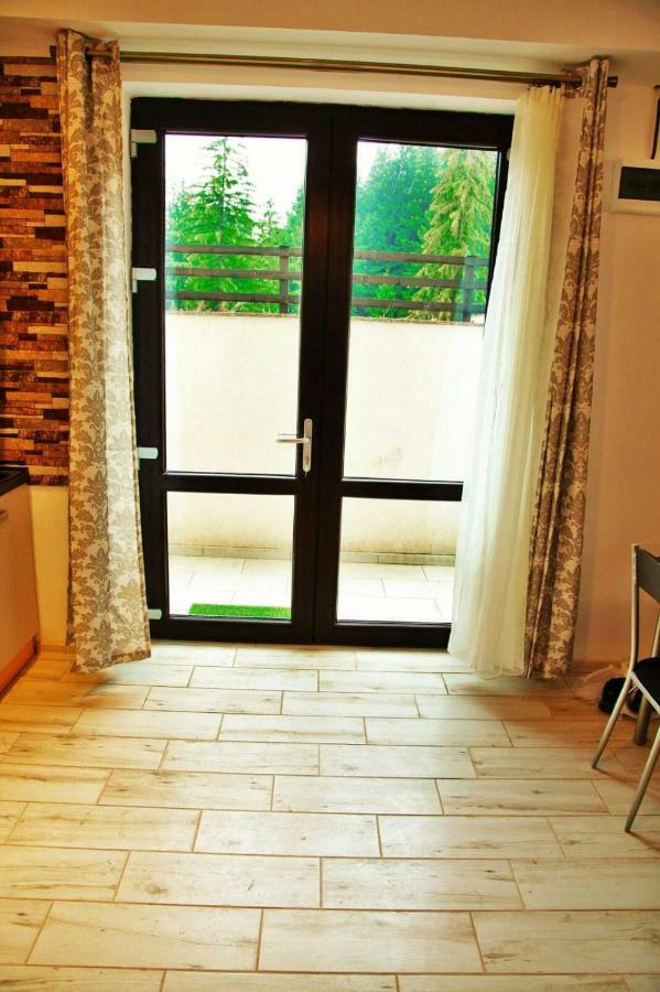 Apartament Andra Пояна-Брашов Экстерьер фото