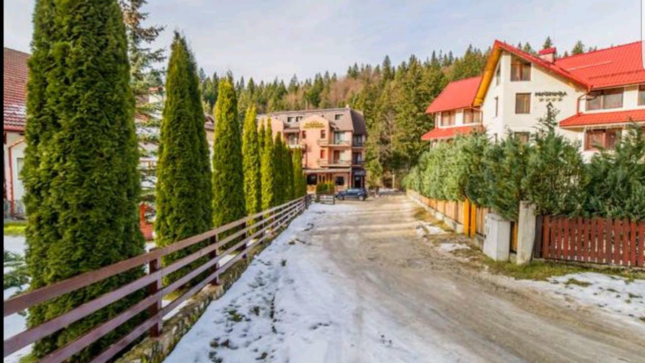 Apartament Andra Пояна-Брашов Экстерьер фото